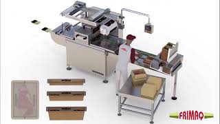 Frimaq Model TSA-626 Automatic Tray Sealing Machine - Computerized Demonstration 1 (RAM Manu. Eq.)