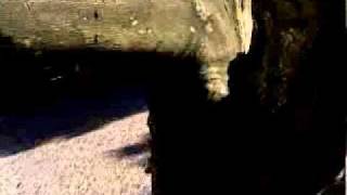 cultura em Évora.wmv