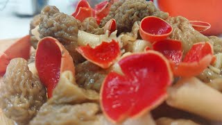 Жареные сморчки и саркосцифа алая (бабкины ушки), рецепт и обзор блюда