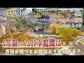【日本庭園】4年で庭はこう変わる。完成後と比較して庭はどう変化する？お庭好き・ガーデニング好きな方も必見です【和風庭園・庭作り】