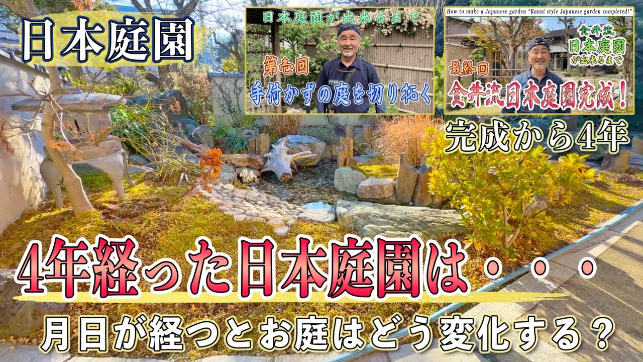 【日本庭園】4年で庭はこう変わる。完成後と比較して庭はどう変化する？お庭好き・ガーデニング好きな方も必見です【和風庭園・庭作り】
