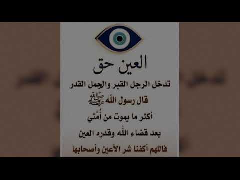 يا طيبة جاتك 