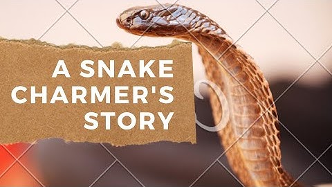 Chapter 2 A Snake Charmer