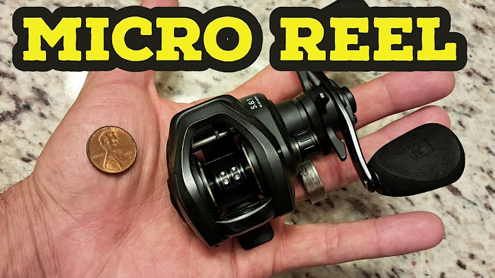 ProFISHiency TINY but MIGHTY REEL! is it worth price??