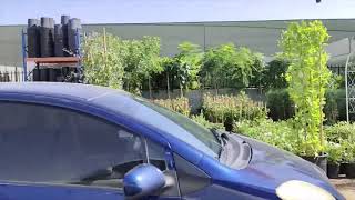 Gover Garden Centre - Dubais Favorite Garden Centre