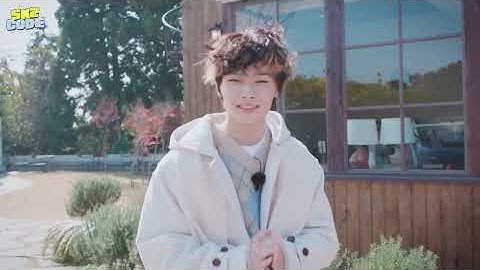 SKZ CODE Ep.43 - 44 환승 아일랜드 (EXchange Island) | REACTION #straykids