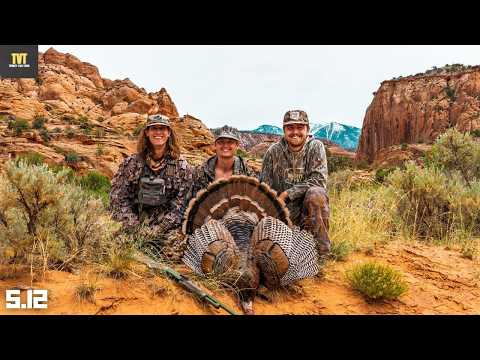 The CRAZIEST Place We've Ever Hunted! - Public Land Turkey Hunting