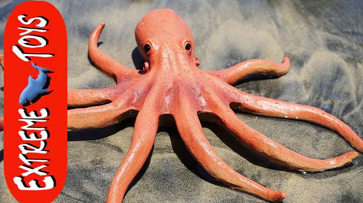 The Octopus Stow Away! Mysterious Squid Toy Sea Creature on the Beach. "Part 1"