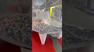 Xl Pig At Bangkok Siam Center