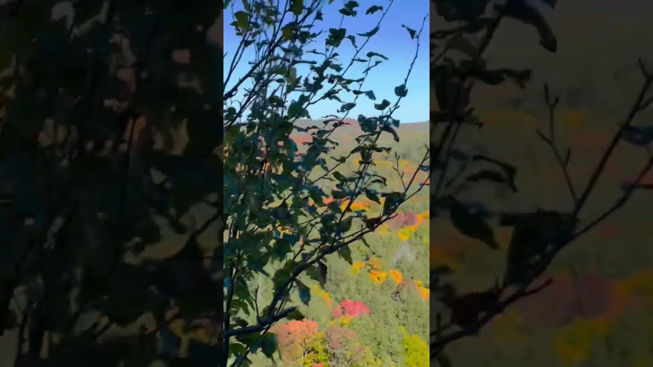 Fall Colours in Ontario, Canada