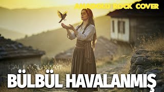 Bülbül Havalanmış Anadolu Psychedelic Rock Cover Çal Bağlamayı