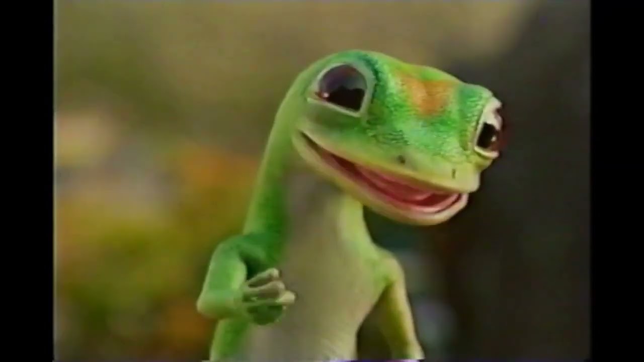 GEICO/Association of Zoos and Aquariums - Otter (2008, USA)