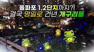 올림픽파크 포레온 🐸개구리 명일로 건너 1단지, 2단지까지 진출. 짝짓기를 위한 개구리의 여정. 개구리 소리.