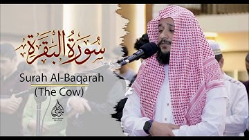 جديد لأول مرة.. سورة البقرة كاملة بصوة القارئ مصطفى فاروق الكردي | Sura Al Baqara