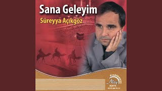 Senin Aşkın — Süreyya Açıkgöz kapak görseli