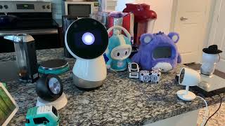 Jibo Flashback - Someday, Today Will Be In The Past