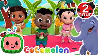 Apples and Bananas (Love Fruit Song) | CoComelon - Cody's Playtime | Songs for Kids & Nursery Rhymes