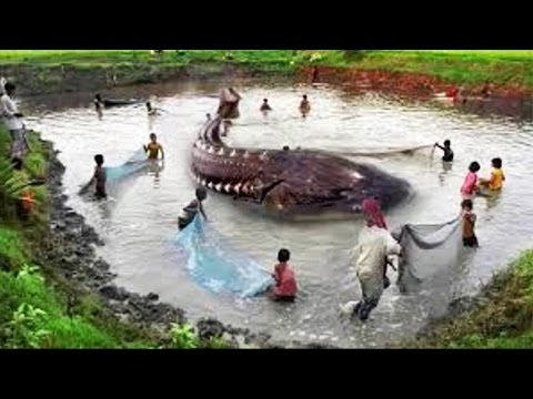 Video: Paglalarawan at larawan ng Lake Kankaria (Kankaria lake) - India: Ahmedabad