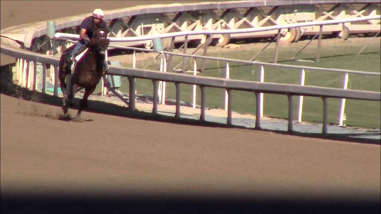 Blinkers On Thoroughbred Horse Racing Partnerships BUllwhip 10/12/13