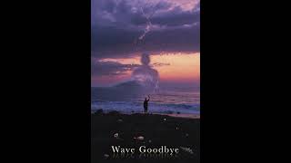 Wave goodbye 