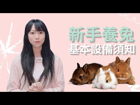 Moon Rabbit 穴兔｜新手養兔基本設備須知