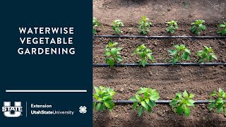 Waterwise Vegetable Gardening