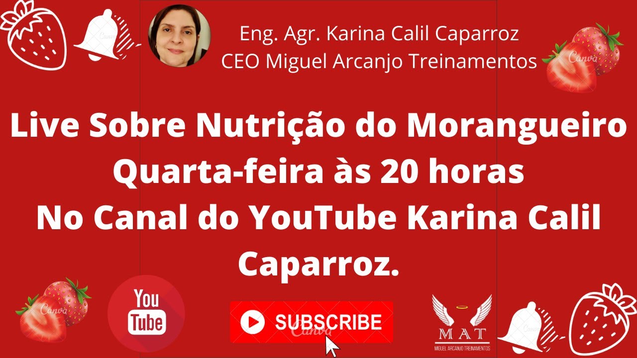 Live sobre Nutrição do Morangueiro