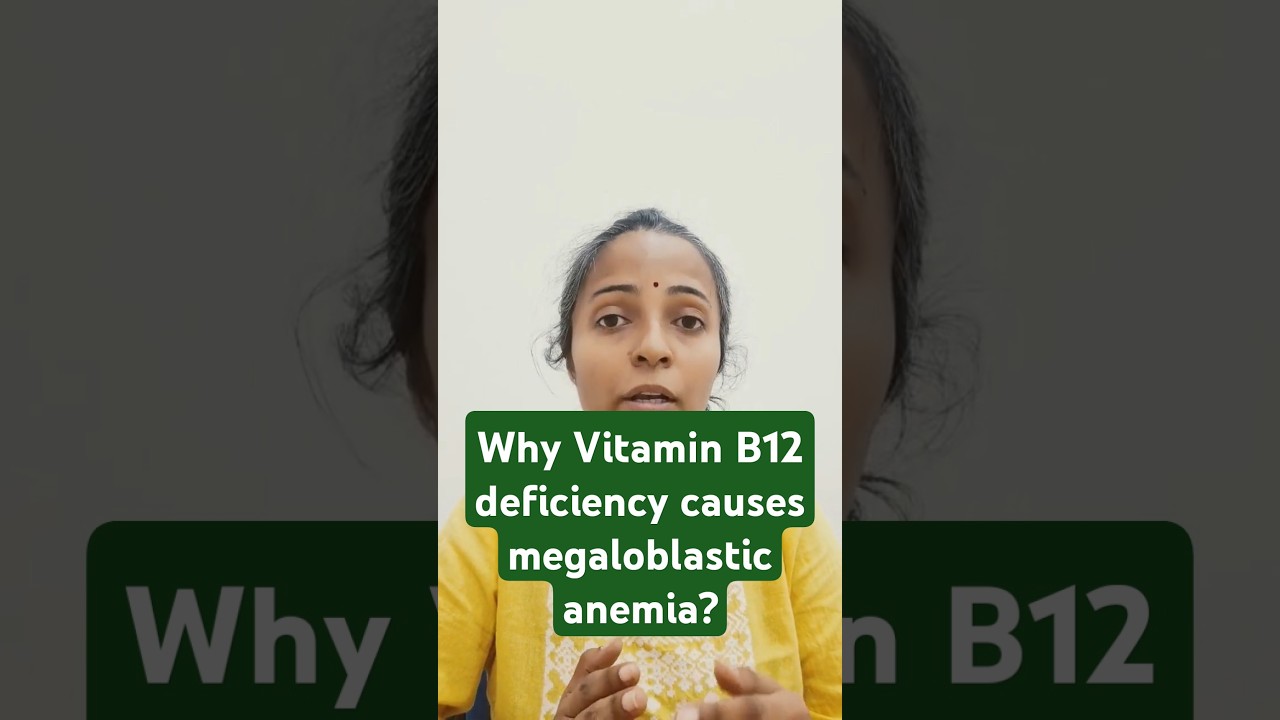 Physiology class - why Vitamin B12 deficiency causes megaloblastic anemia