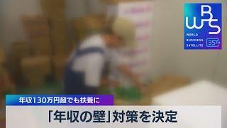 「年収の壁」対策を決定　年収130万円超でも扶養に【WBS】（2023年9月27日）