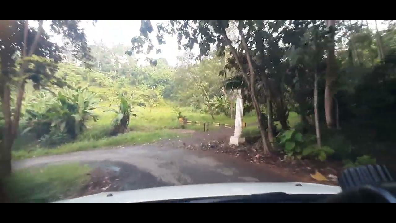 JL Pantai mutun,pesawaran,lampung.