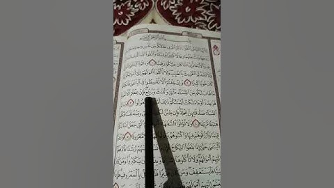 كانت تقرأ سورة النساء وعندما وصلت الي مثنى وثلاث ورباع خفضت صوطها.... 🥺🥺🥺