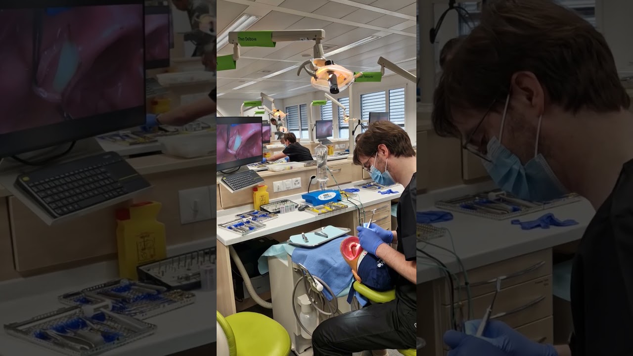 🚂 La Suisse, nous voilà !