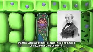 The Smallest Unit of Life