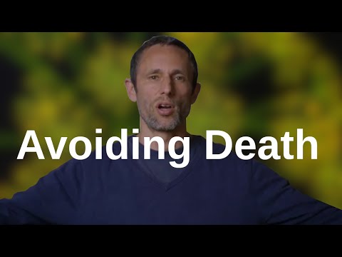What happens to us when we avoid death