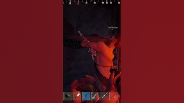 Going Deep On Our Neighbors - Rust #rust