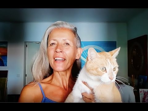 Drei Wochen Low-Carb- und ketogene Ernährung - Zwischenbericht von Sonja Ariel von Staden - YouTube