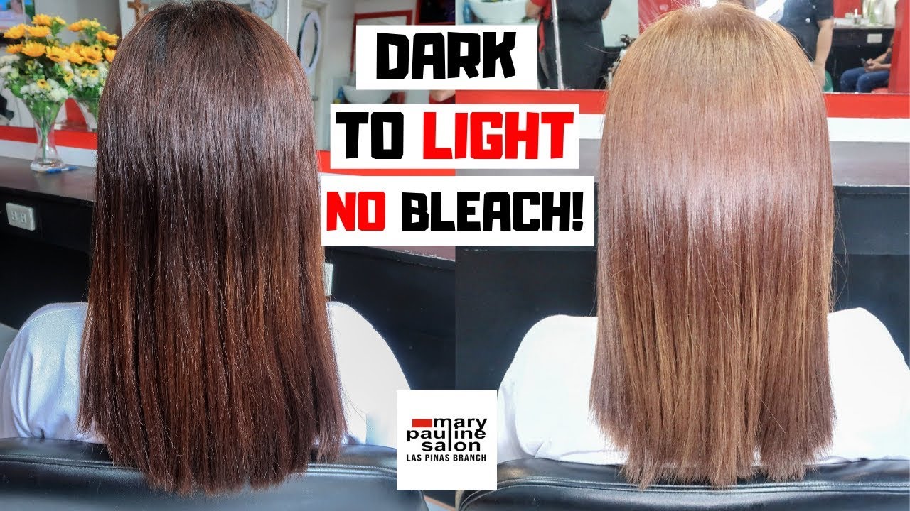 Dark To Light Hair Without Bleach How To Color Dark To Blonde Hair Lolly Isabel Youtube