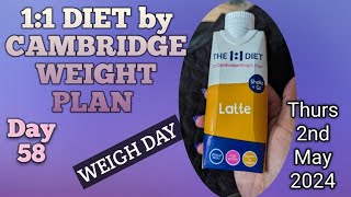 The 1:1 Diet | CWP | WIEIAD | #weightlossjourney #one2one #cambridgediet