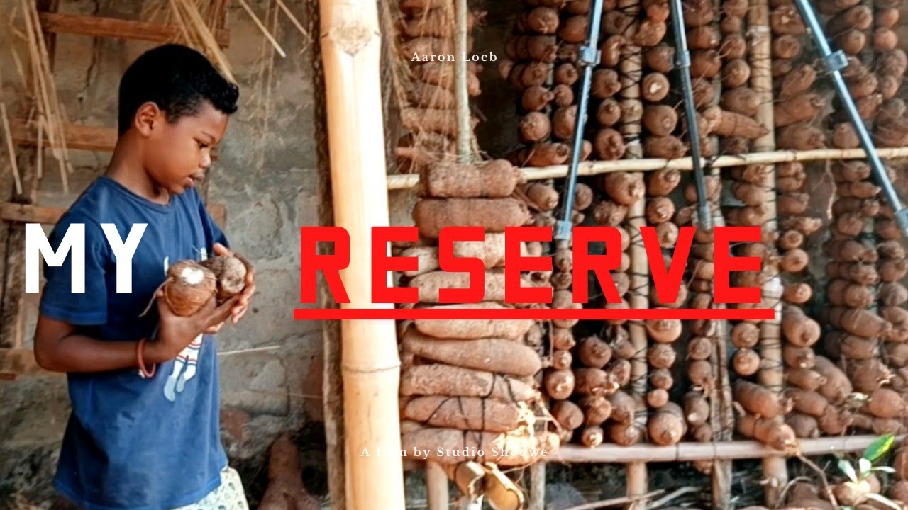 Best way u keep yam #agriculture  harvesting yam