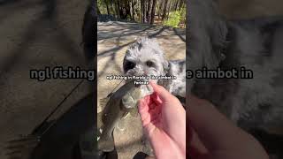 Everyone Can Agree😭