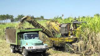 Seasons Greetings From Sensus