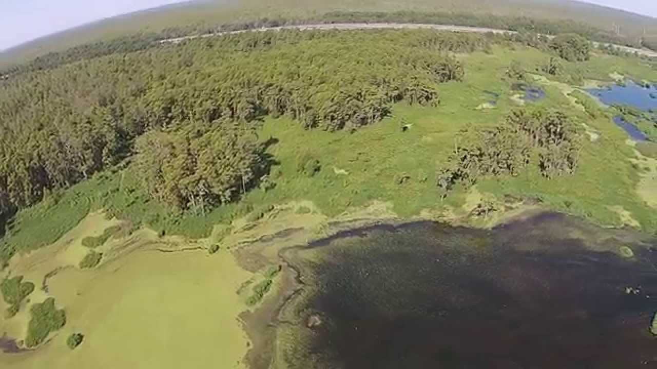 Joyce WMA Swamp walk YouTube