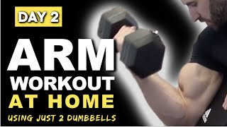 Day 2 20 Min Arm Workout At Home Home Dumbbell Toning Workout Program