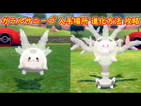 ソードシールド 巨人の鏡池 きょじんのかがみいけ のマップ 出現する野生のポケモン アイテムまとめ ポケモン剣盾 攻略大百科