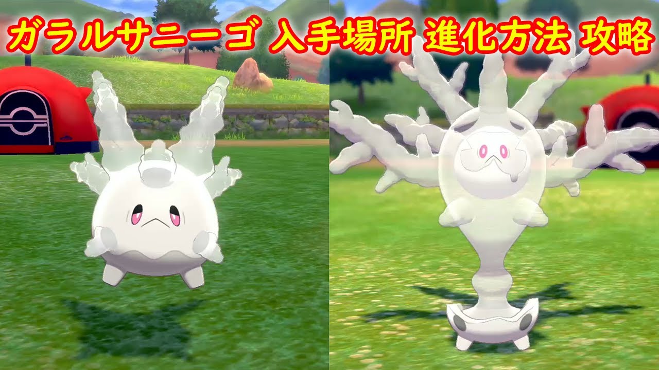 ガラルサニーゴ サニゴーン 入手場所 進化方法 攻略 ポケモン ソード シールド ポケモン剣盾 Youtube