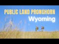 Public Land Antelope in Wyoming. Wall Tent Camping!