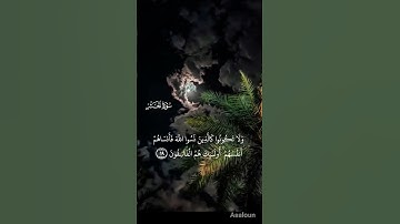 المنشاوي:من سورة الحشر♥️💤