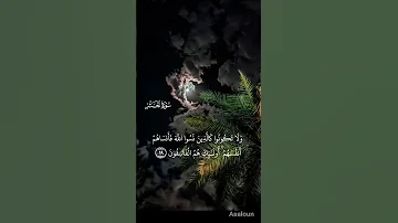 المنشاوي من سورة الحشر 