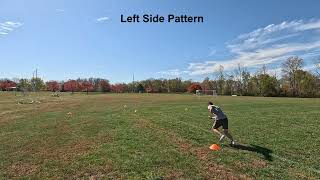 Arrowhead Agility Drill
