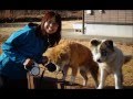 わたし、犬、いぬ。 (かえで&うっしー編)